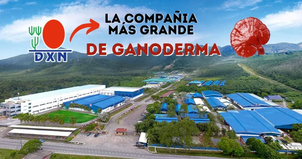 dxn-compania-de-ganoderma-malasia dxn compania de ganoderma malasia