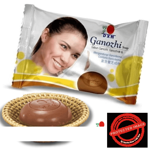 Productos DXN Colombia Jabon en barra ganozhi Productos DXN Colombia Jabon en barra ganozhi