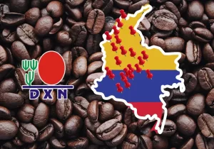 cafe ganoderma en cali, medellin, barranquilla, bogota