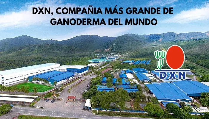 dxn-compañia-de-ganoderma-mas-grande-del-mundo