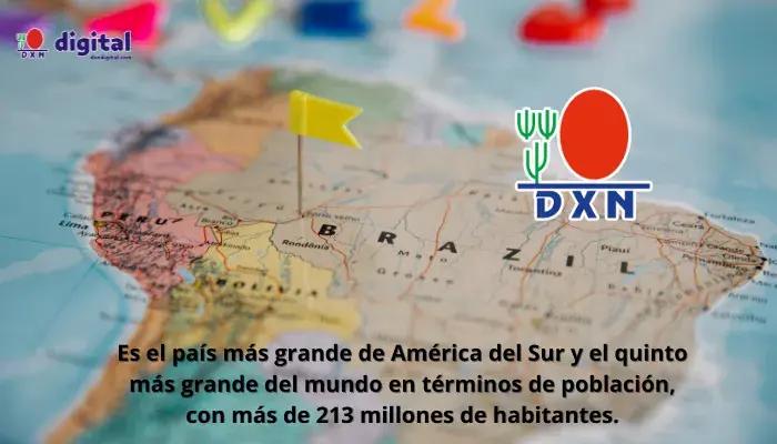 dxn-brasil-español-oportunidad-negocio
